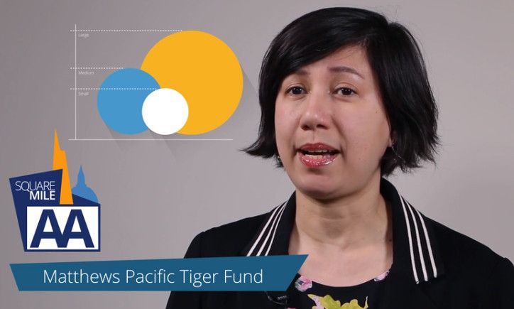 Matthews Pacific Tiger Fund – Amaya Assan
