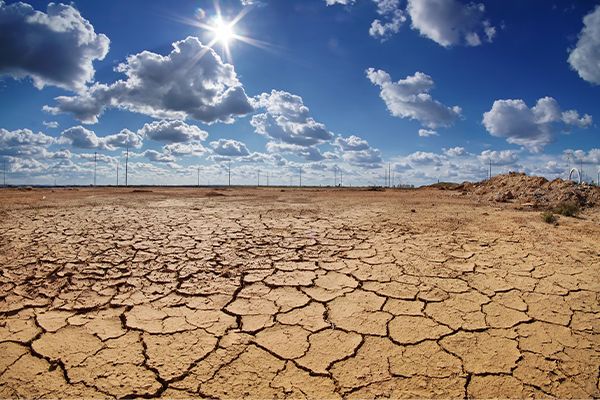 Central banks need to take action now on climate change