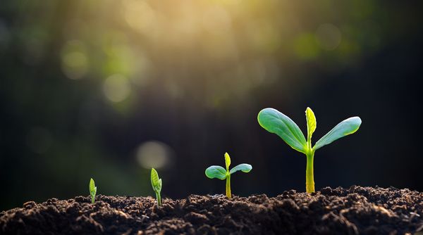 Strat snippets: Positioning for the next phase of recovery