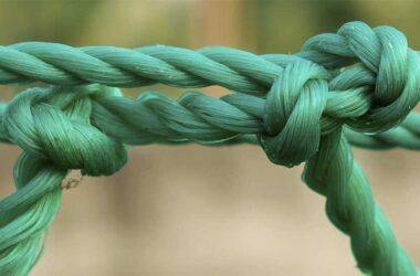 Fractured Markets, Strong Bonds