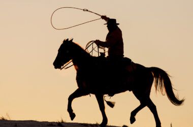 Sustainability-Linked Bonds: The Good, the Bad and the Ugly