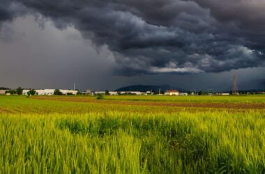 How to Prepare for Market Volatility Before It Strikes Again