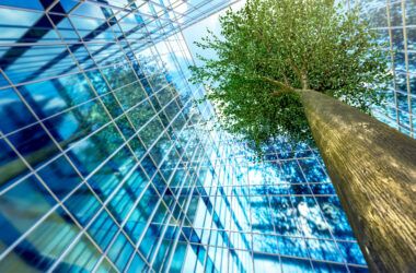 The Case for Corporate Credit