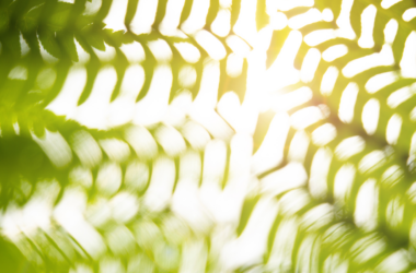 Financing a Sustainable World: Global Banks Take Center Stage