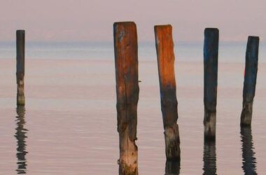 Six Metrics Light the Path to Sustainability for Emerging-Market Sovereigns