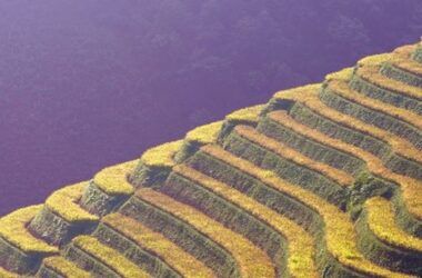 Sustainable investing quarterly update – Q1 2025