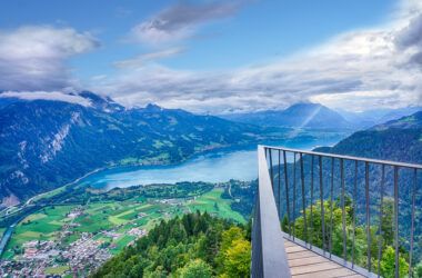 The Viewpoint: navigating the corporate Life Cycle