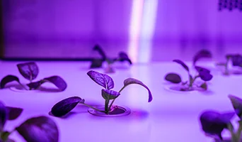 SustainAbility: The clean theme