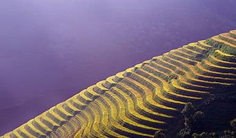 Sustainable investing quarterly update – January 2026