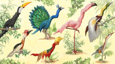 Why it’s not too late to invest in emerging markets