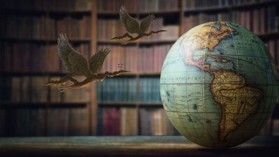 Global smaller companies: the diversification deliverers