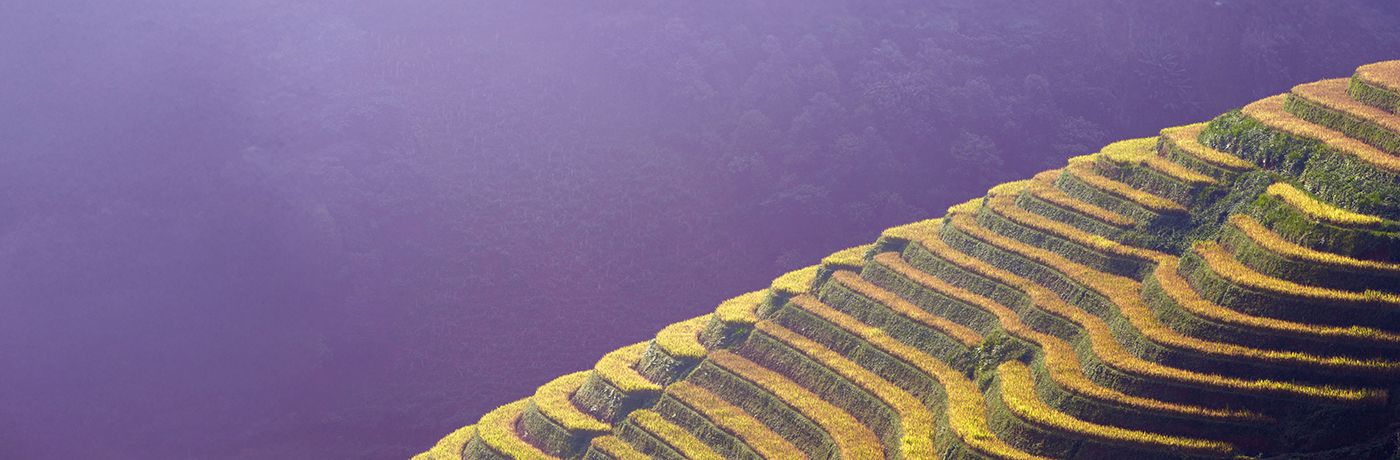 Sustainable investing quarterly update – Q1 2026