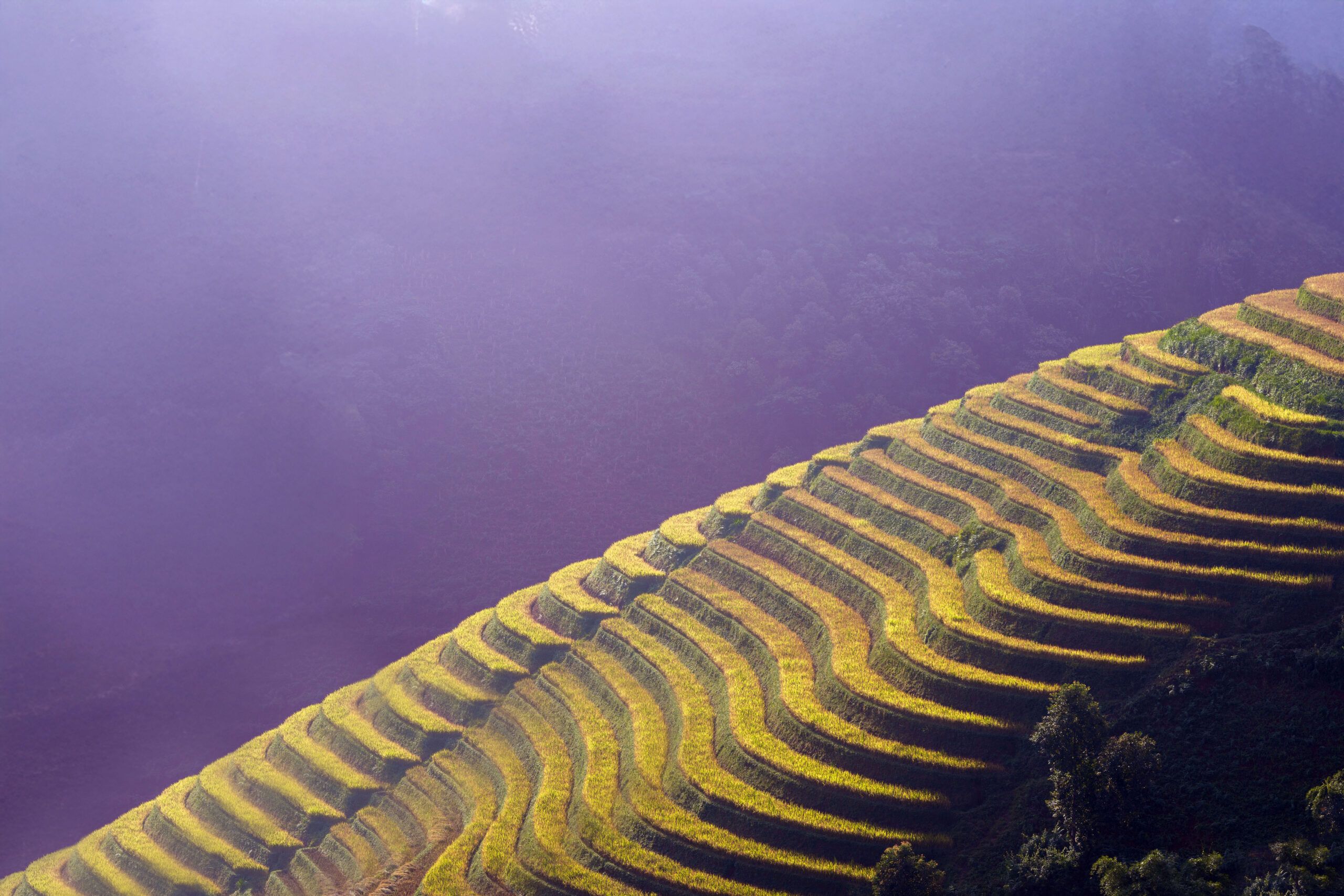 Sustainable investing: Key themes shaping markets